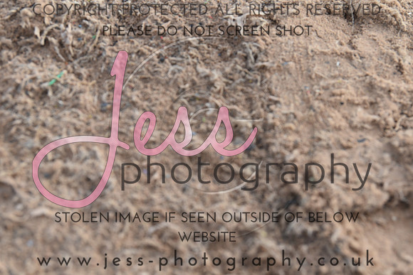 JES_6513