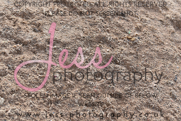 JES_6545