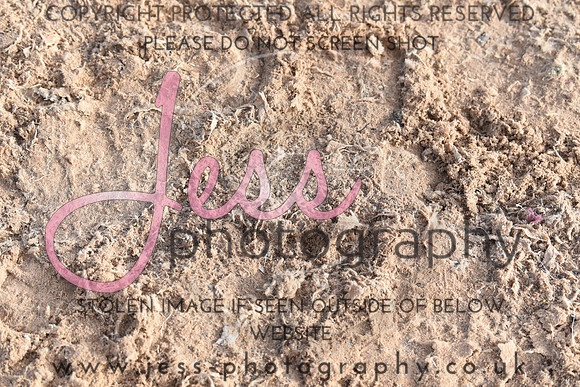 JES_6577