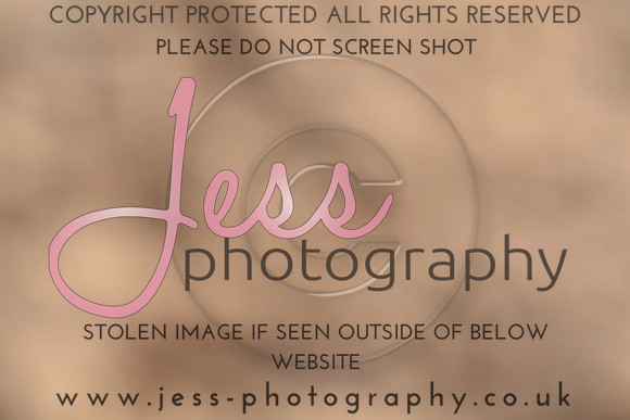JES_6617