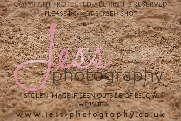 TGSJ1194