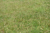 JPG_6357