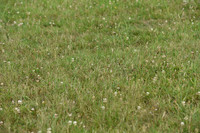 JPG_6564