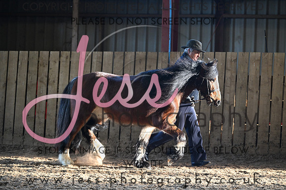 TGIS (61)