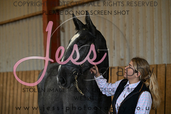 TGIS (84)