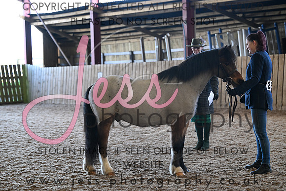 TGIS (241)