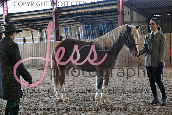 TGIS (254)