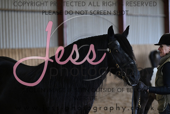 TGIS (475)