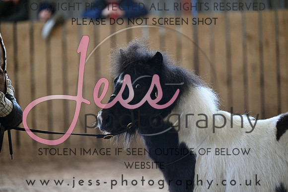 TGIS (522)