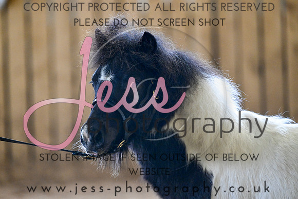 TGIS (524)