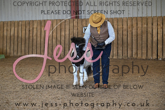 TGIS (539)