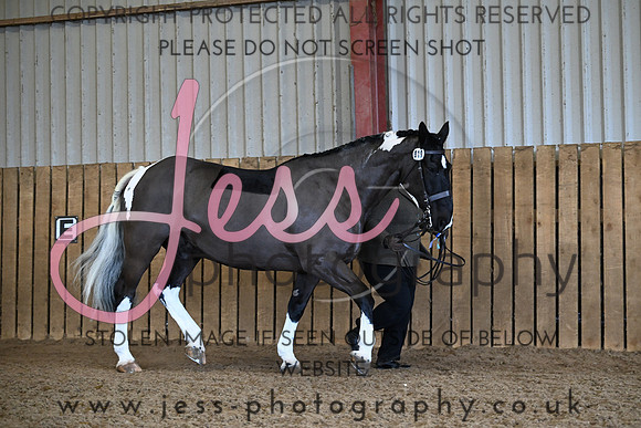 TGIS (575)