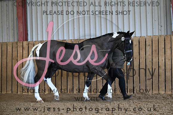 TGIS (576)