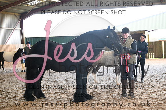 TGIS (650)