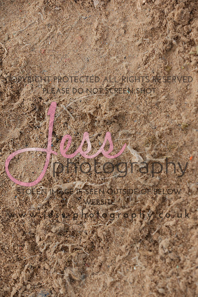 JP1_4620