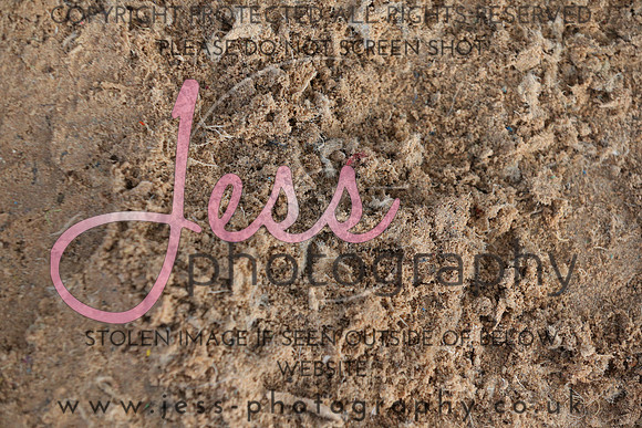 JP1_4720