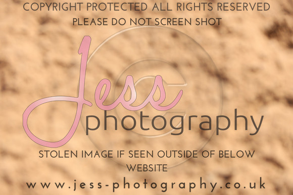 TSJ_0681