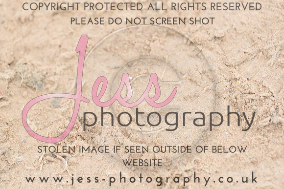 25.02 (450)