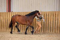 TGS_0957