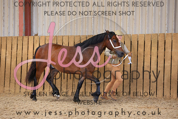 TGS_0957