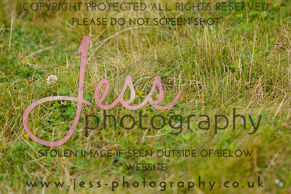 _MGM0536