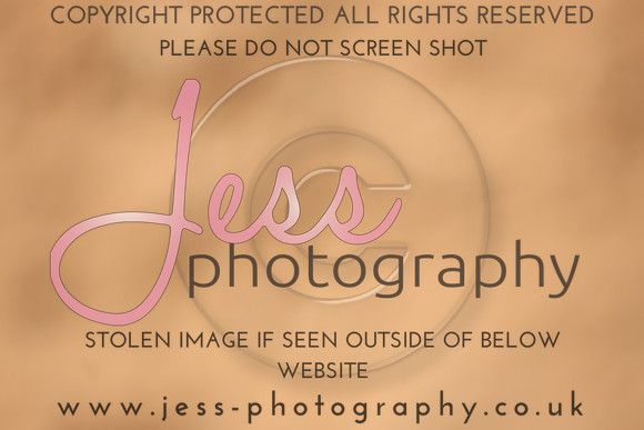 TSJ_0722