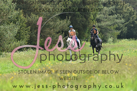 JES_8431