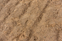 JPG_6172