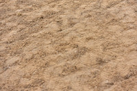 JPG_6635