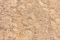 JPG_6663