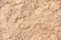 JPG_6993