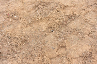 JPG_6959