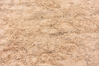 JPG_6967