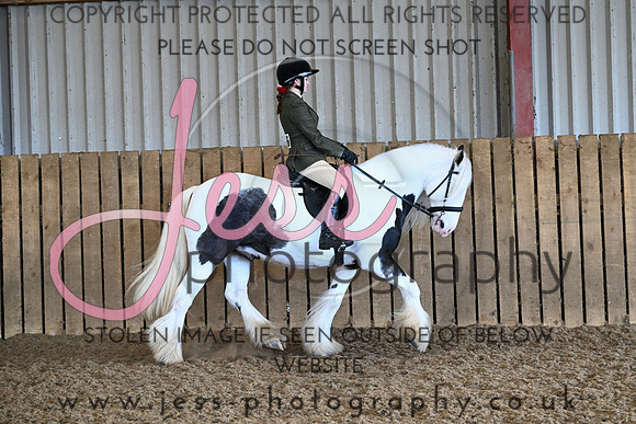TG17.03 (316)