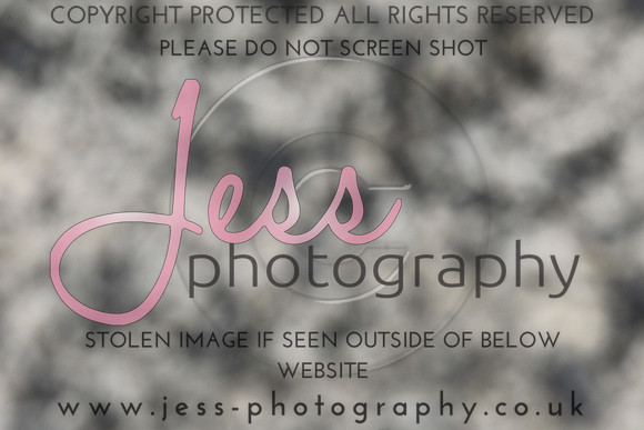 JES_6191