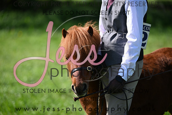 TGIS (262)