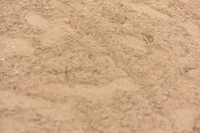 JPG_8976