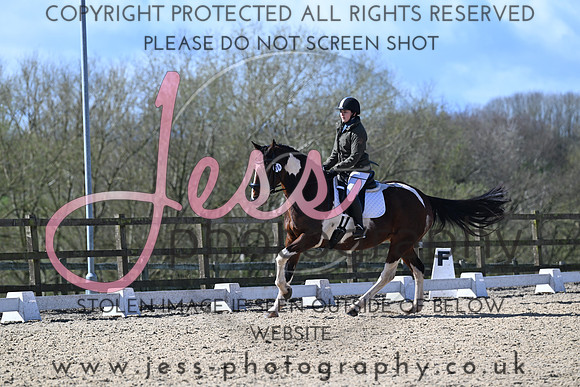 JES  (733)