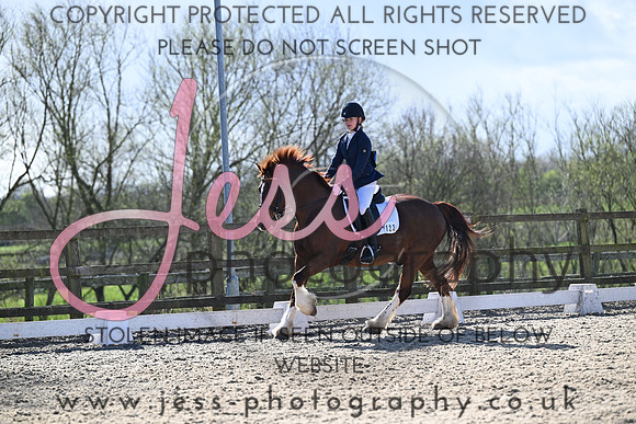 JESS (145)