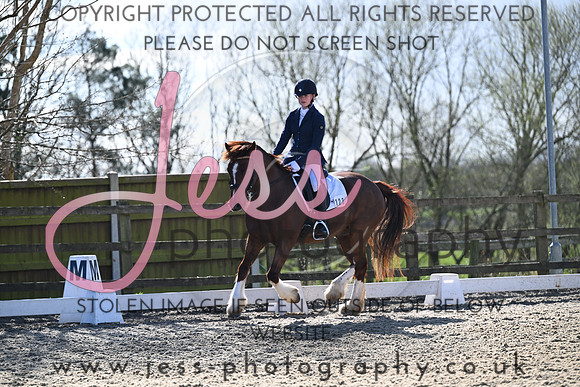 JESS (146)