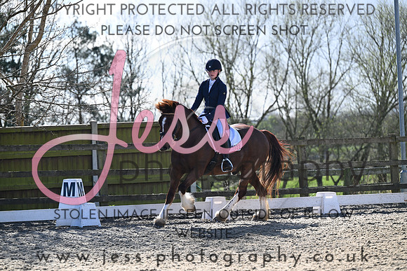 JESS (147)