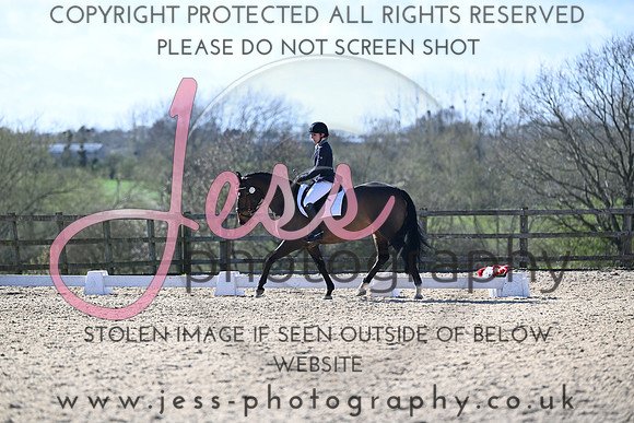 JESS (205)