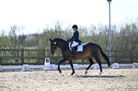 JESS (211)
