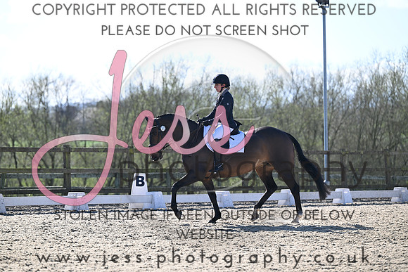 JESS (211)