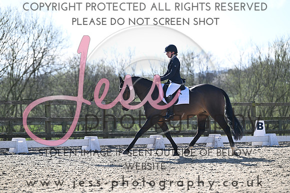 JESS (213)