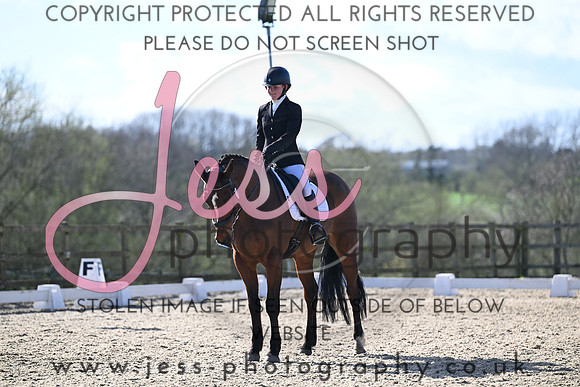 JESS (255)