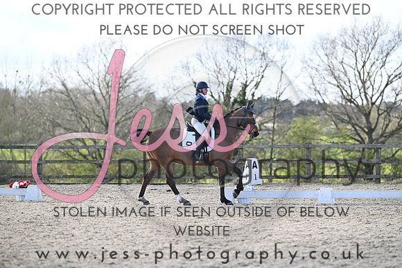 JESS (278)