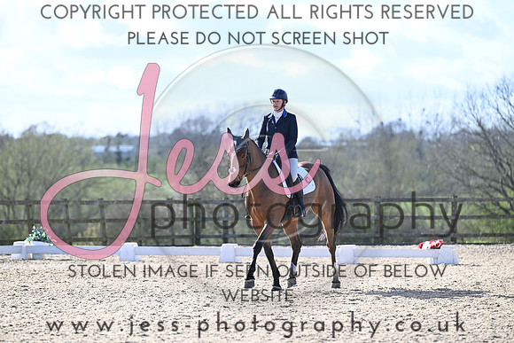 JESS (281)