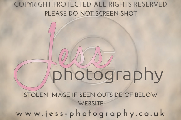 JESS (15)