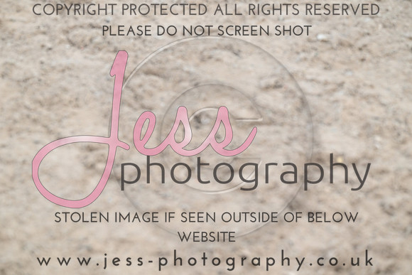 JESS (79)